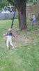 Video van kinderen die springen met de Jupiduu Bungee Belt in een buitenomgeving.